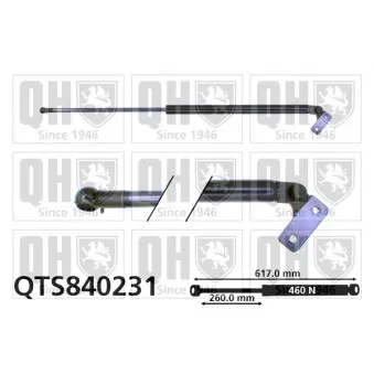 Vérin de hayon, de coffre QUINTON HAZELL QTS840231 pour MAZDA 626 2.0 D - 60cv