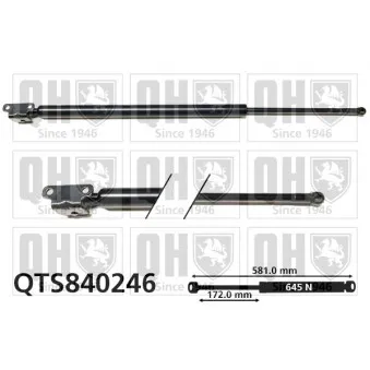 Vérin de hayon, de coffre QUINTON HAZELL QTS840246 pour MITSUBISHI GALANT 2.5 V6 24V - 160cv