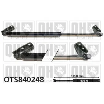 Vérin de hayon, de coffre QUINTON HAZELL QTS840248