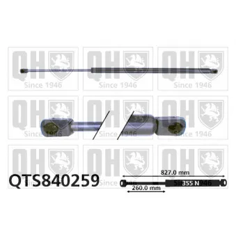 QUINTON HAZELL QTS840259 - Vérin de hayon, de coffre