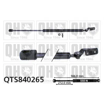 Vérin de hayon, de coffre QUINTON HAZELL QTS840265