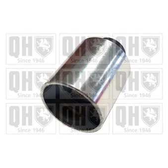QUINTON HAZELL QTT1072 - Poulie renvoi/transmission, courroie de distribution