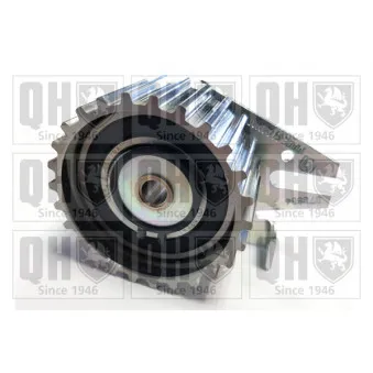 Poulie renvoi/transmission, courroie de distribution QUINTON HAZELL OEM 55211749