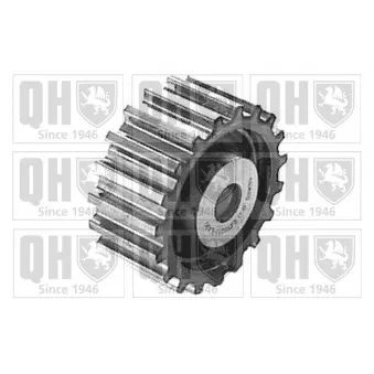 Poulie renvoi/transmission, courroie de distribution QUINTON HAZELL OEM 96FF6K254DB