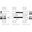 Kit de câbles d'allumage QUINTON HAZELL [XC1041]
