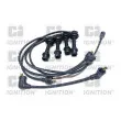 Kit de câbles d'allumage QUINTON HAZELL [XC1083]