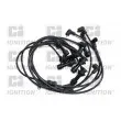 Kit de câbles d'allumage QUINTON HAZELL [XC1428]