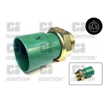 Interrupteur de température, ventilateur de radiateur QUINTON HAZELL OEM 1341027