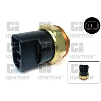 Interrupteur de température, ventilateur de radiateur QUINTON HAZELL OEM SE021952600A