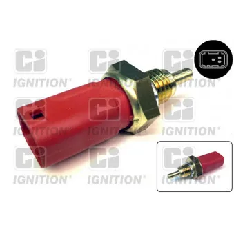 Sonde de température, liquide de refroidissement QUINTON HAZELL XEMS250 pour SMART CABRIO 75 1.2 - 73cv