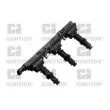 QUINTON HAZELL XIC8338 - Unité de bobine d'allumage