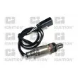 QUINTON HAZELL XLOS1017 - Sonde lambda