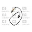 QUINTON HAZELL XLOS1137 - Sonde lambda
