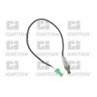 QUINTON HAZELL XLOS1271 - Sonde lambda