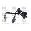 QUINTON HAZELL XLOS1297 - Sonde lambda
