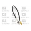 QUINTON HAZELL XLOS1401 - Sonde lambda
