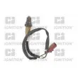 QUINTON HAZELL XLOS1551 - Sonde lambda