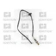 QUINTON HAZELL XLOS1606 - Sonde lambda