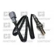 QUINTON HAZELL XLOS1681 - Sonde lambda