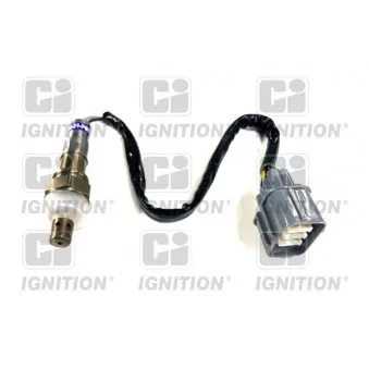 QUINTON HAZELL XLOS1737 - Sonde lambda