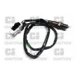 Sonde lambda QUINTON HAZELL [XLOS1800]