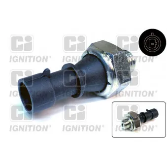 Indicateur de pression d'huile QUINTON HAZELL [XOPS103]