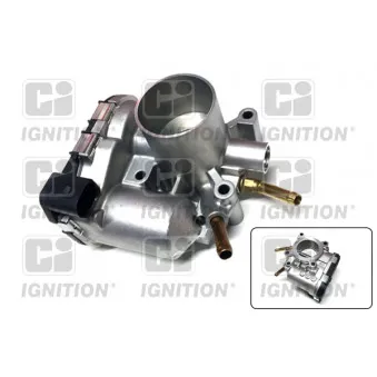 QUINTON HAZELL XPOT469 - Corps papillon