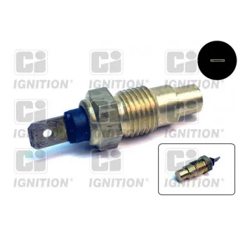 Sonde de température, liquide de refroidissement QUINTON HAZELL XTT124 pour INFINITI G20 2.0 - 115cv