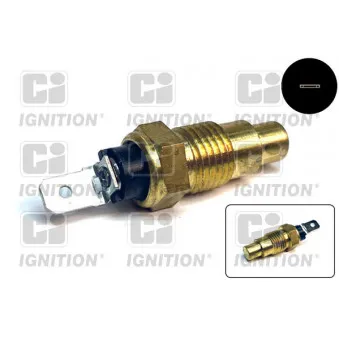 QUINTON HAZELL XTT131 - Sonde de température, liquide de refroidissement