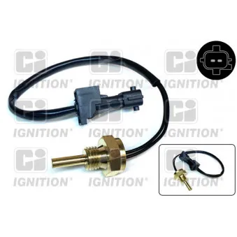 Sonde de température, liquide de refroidissement QUINTON HAZELL XTT161