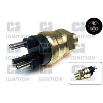 Sonde de température, liquide de refroidissement QUINTON HAZELL OEM 0065459124