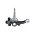 TEKNÖR ZZP-FR-009 - Fusée d'essieu, suspension de roue avant droit 