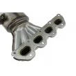 TEKNÖR KAT-PL-006 - Catalyseur