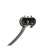 TEKNÖR HCA-MS-085 - Capteur, vitesse de roue avant droit 