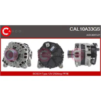 CASCO CAL10A33GS - Alternateur