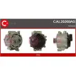 Alternateur CASCO [CAL20269AS]