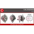 Alternateur CASCO [CAL35323GS]