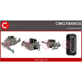 CASCO CMG70004GS - Module-EGR