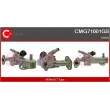Module-EGR CASCO [CMG71001GS]