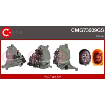 CASCO CMG73009GS - Module-EGR