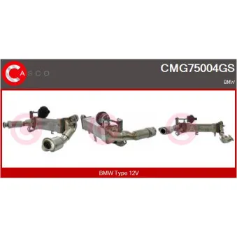 Module-EGR CASCO [CMG75004GS]