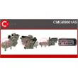 CASCO CMG89001AS - Module-EGR