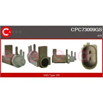 CASCO CPC73009GS - Transmetteur de pression, controle des gaz d'échappement