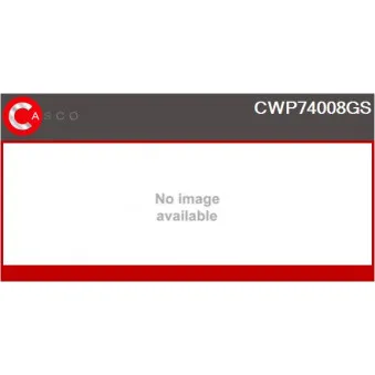 CASCO CWP74008GS - Pompe d'eau de nettoyage, nettoyage des vitres