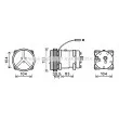AVA QUALITY COOLING CSAK020 - Compresseur, climatisation