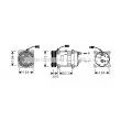 AVA QUALITY COOLING DZAK017 - Compresseur, climatisation