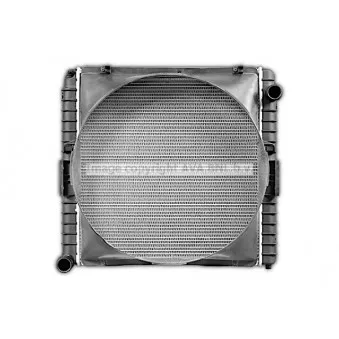 Radiateur, refroidissement du moteur AVA QUALITY COOLING IV2160 pour IVECO EUROCARGO 120 E 18 K - 177cv