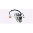 AVA QUALITY COOLING SCC049 - Embrayage, ventilateur de radiateur