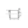 Intercooler, échangeur AVA QUALITY COOLING [VNA4235]