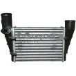 JP GROUP 1117500800 - Intercooler, échangeur